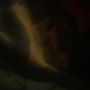 Meet your Posher, Kimmy